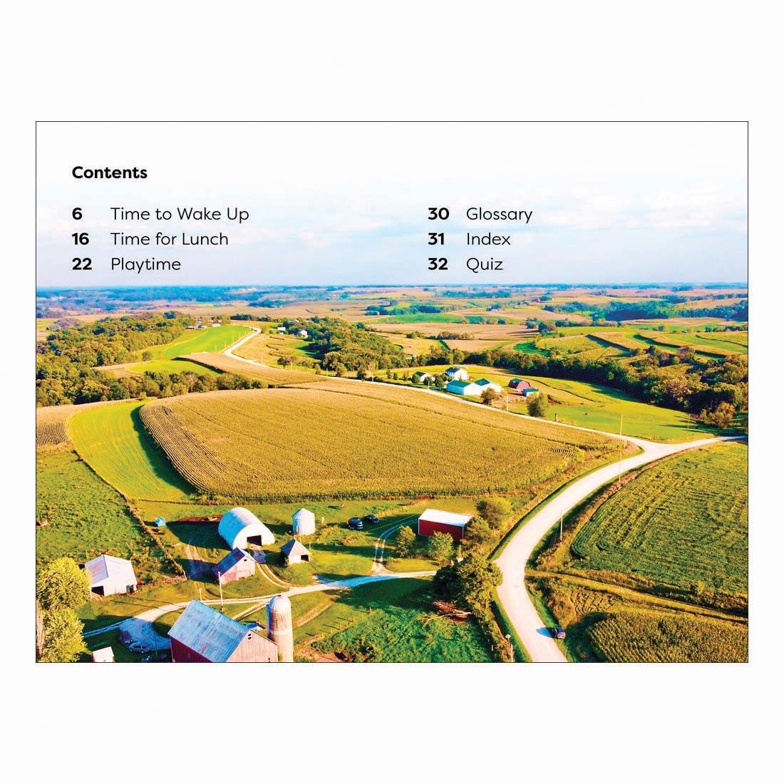 table of contents from A Day on the Farm DK Super Readers Level 1 Book