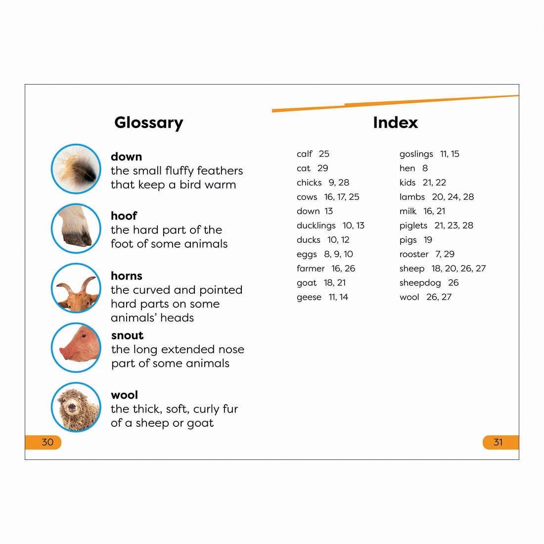 Glossary and Index pages from A Day on the Farm DK Super Readers Level 1 Book