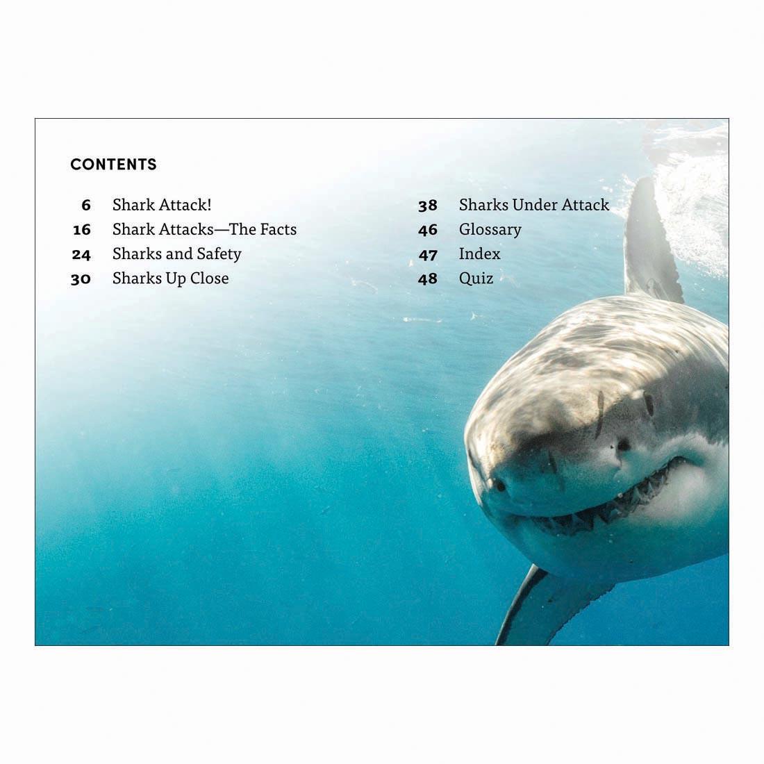 Table of Contents for Shark Attack DK Super Readers Level 4 Book