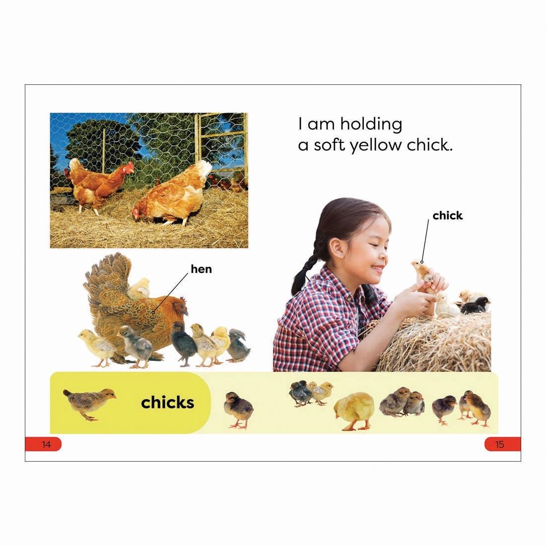 2 pages from A Day At The Petting Zoo DK Super Readers Pre-Level Book