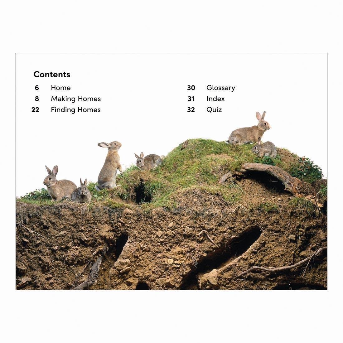 2 pages from Animals At Home DK Super Readers Level 2 Book