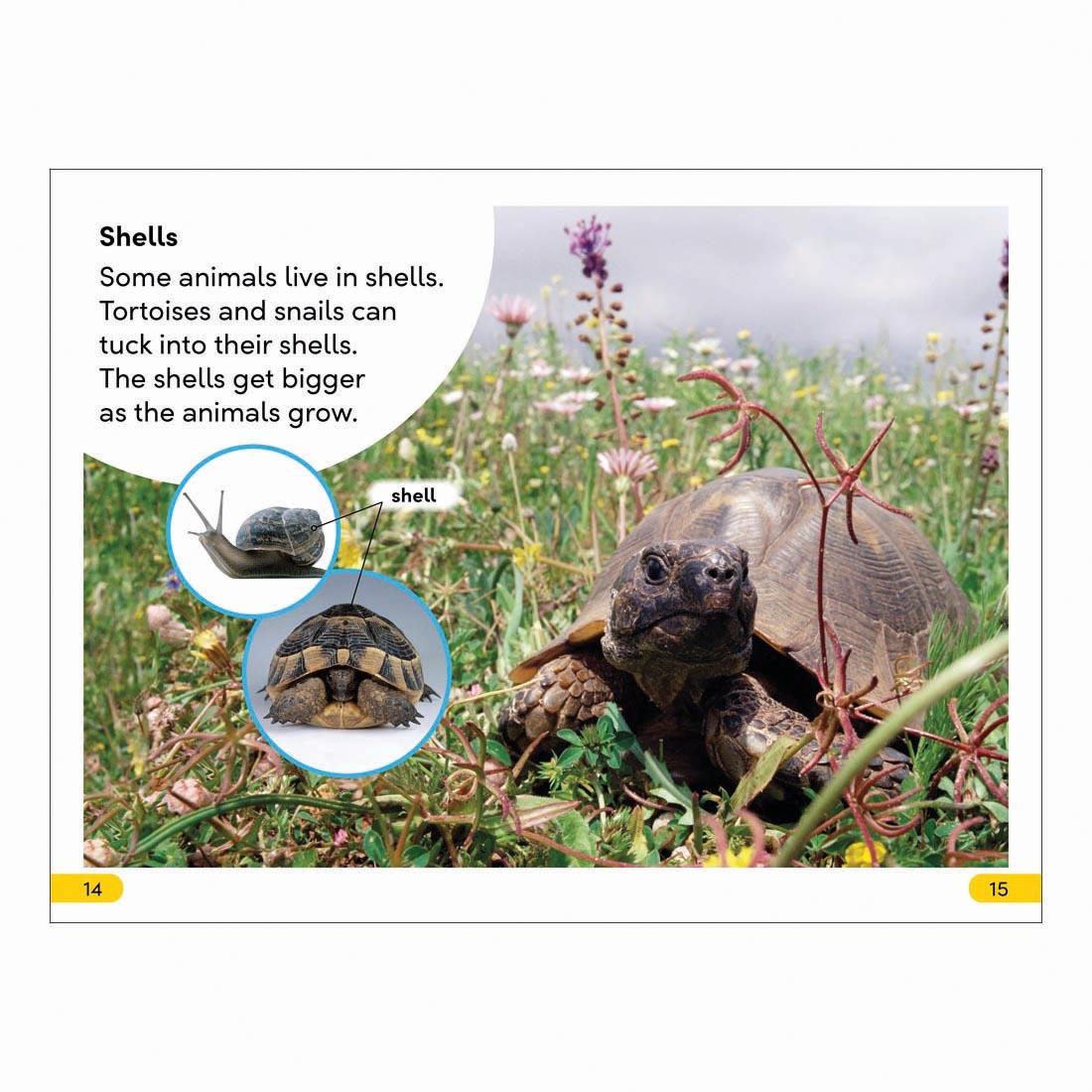 2 pages from Animals At Home DK Super Readers Level 2 Book
