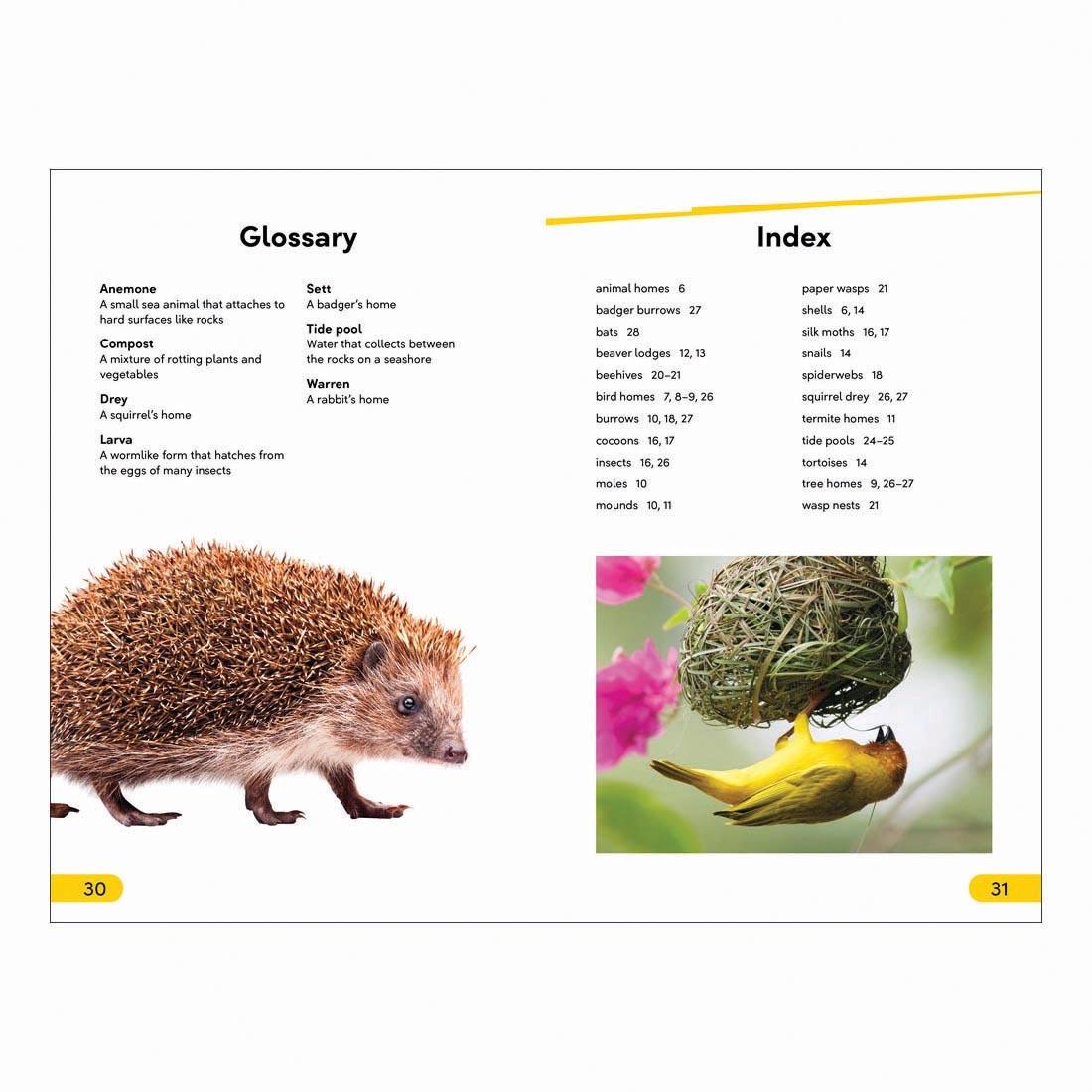 Glossary and Index pages from Animals At Home DK Super Readers Level 2 Book
