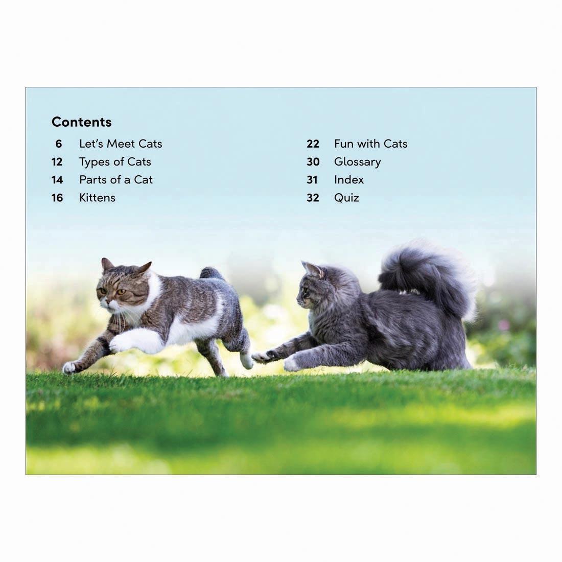 Table of Contents from Cats And Kittens DK Super Readers Level 2 Book
