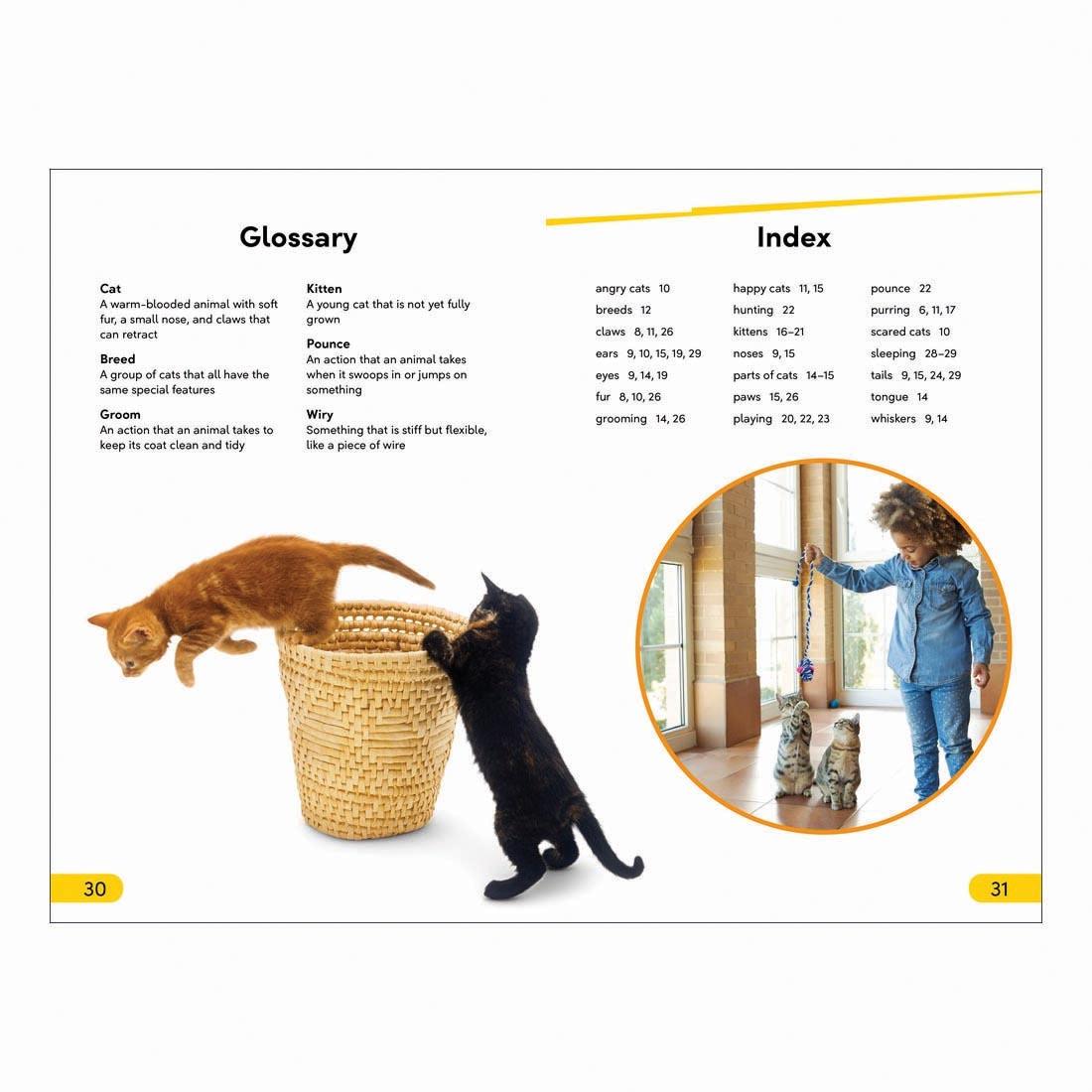 Glossary and Index pages from Cats And Kittens DK Super Readers Level 2 Book