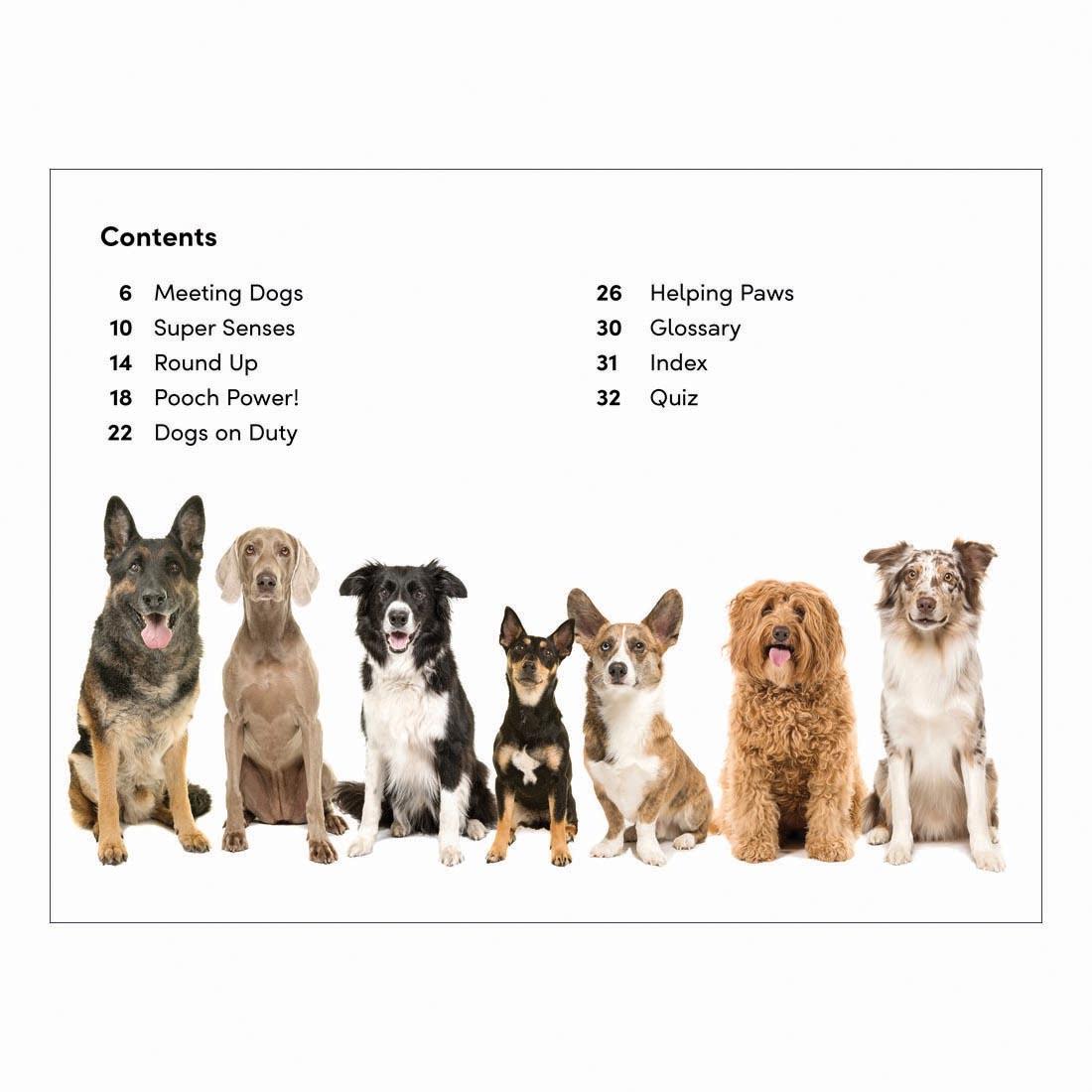 Table of Contents from Amazing Dogs DK Super Readers Level 2 Book