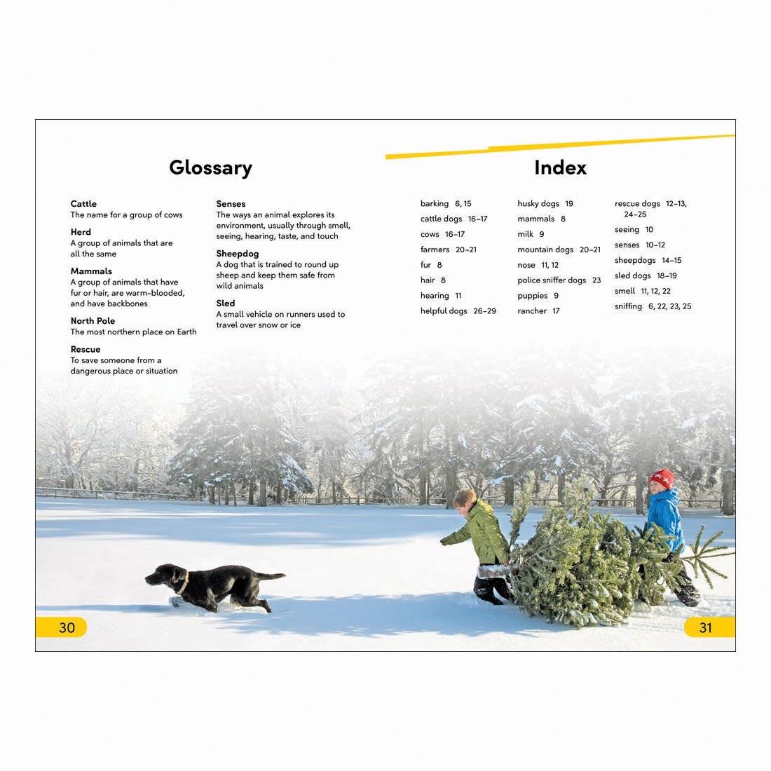 Glossary and Index pages from Amazing Dogs DK Super Readers Level 2 Book