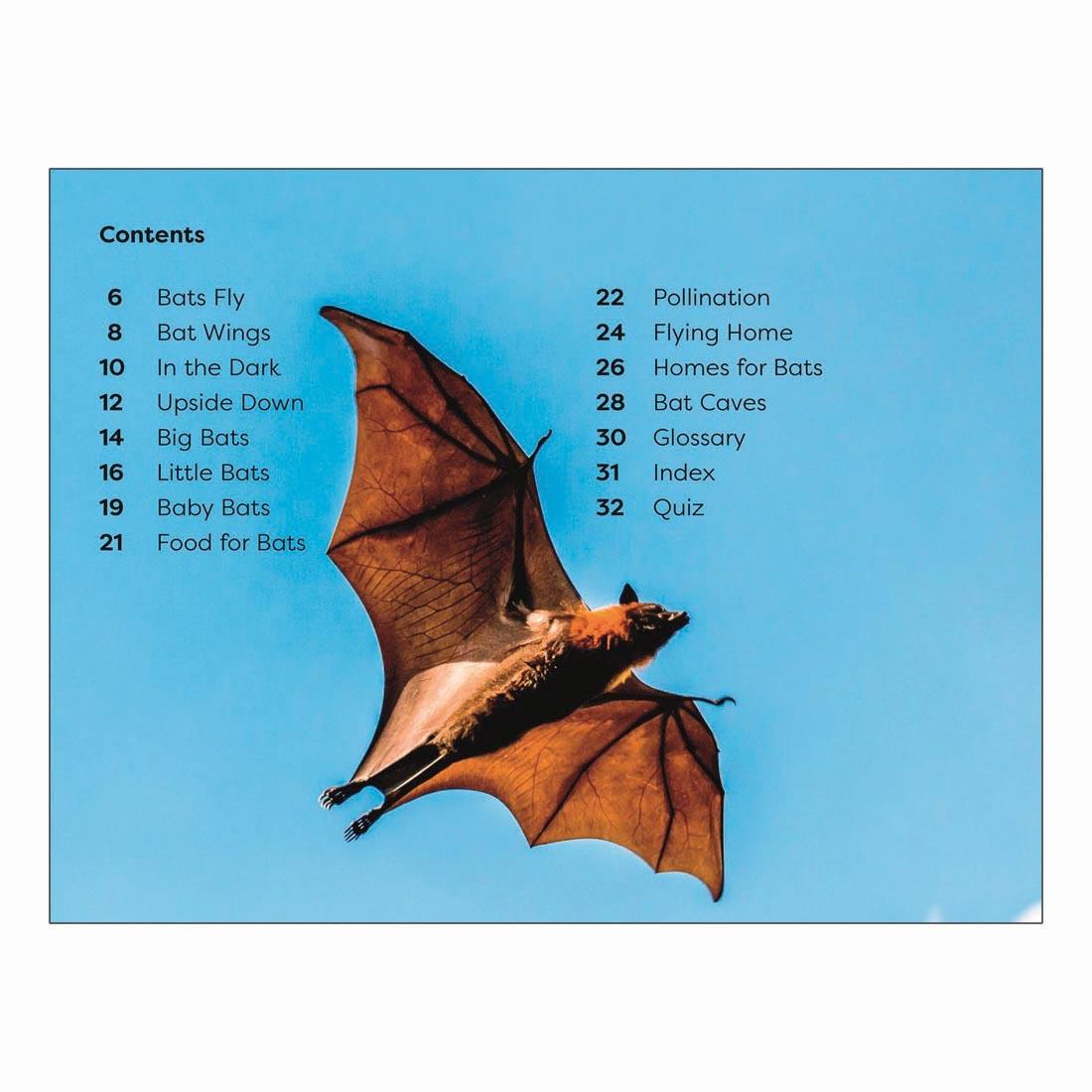 Table of Contents from All About Bats DK Super Readers Level 1 Book