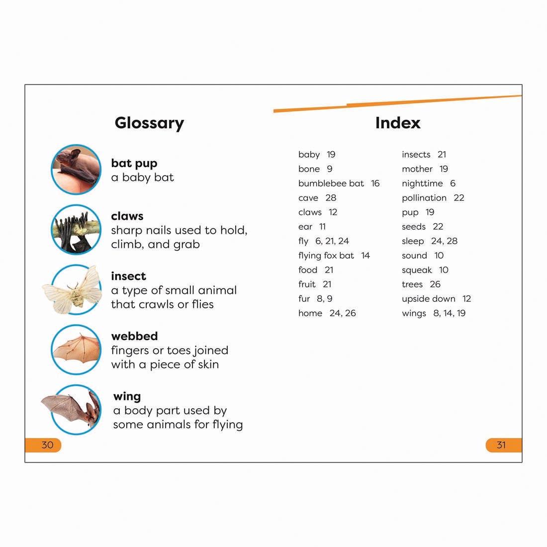 Glossary and Index pages from All About Bats DK Super Readers Level 1 Book