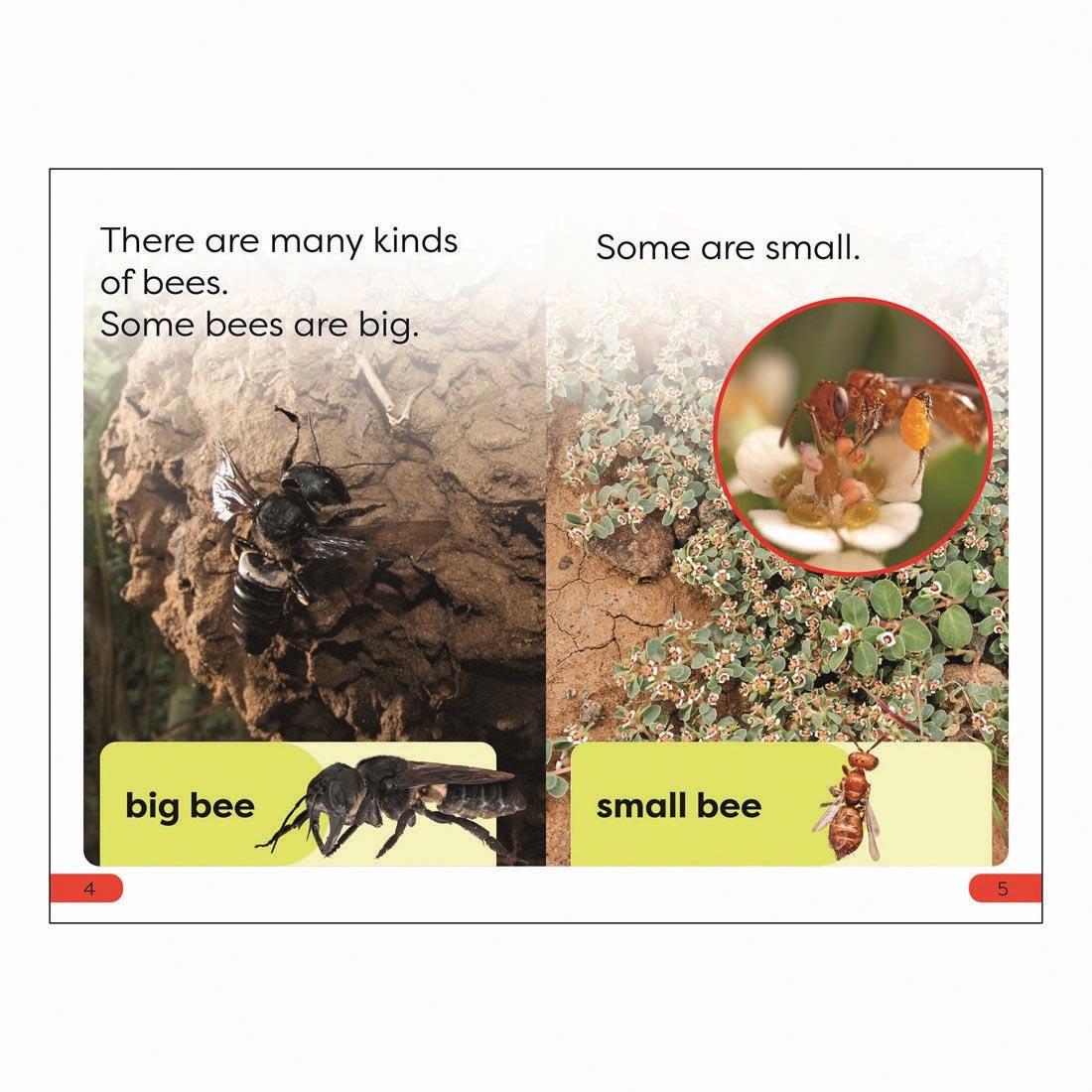 2 pages from Save The Bees DK Super Readers Pre-Level Book