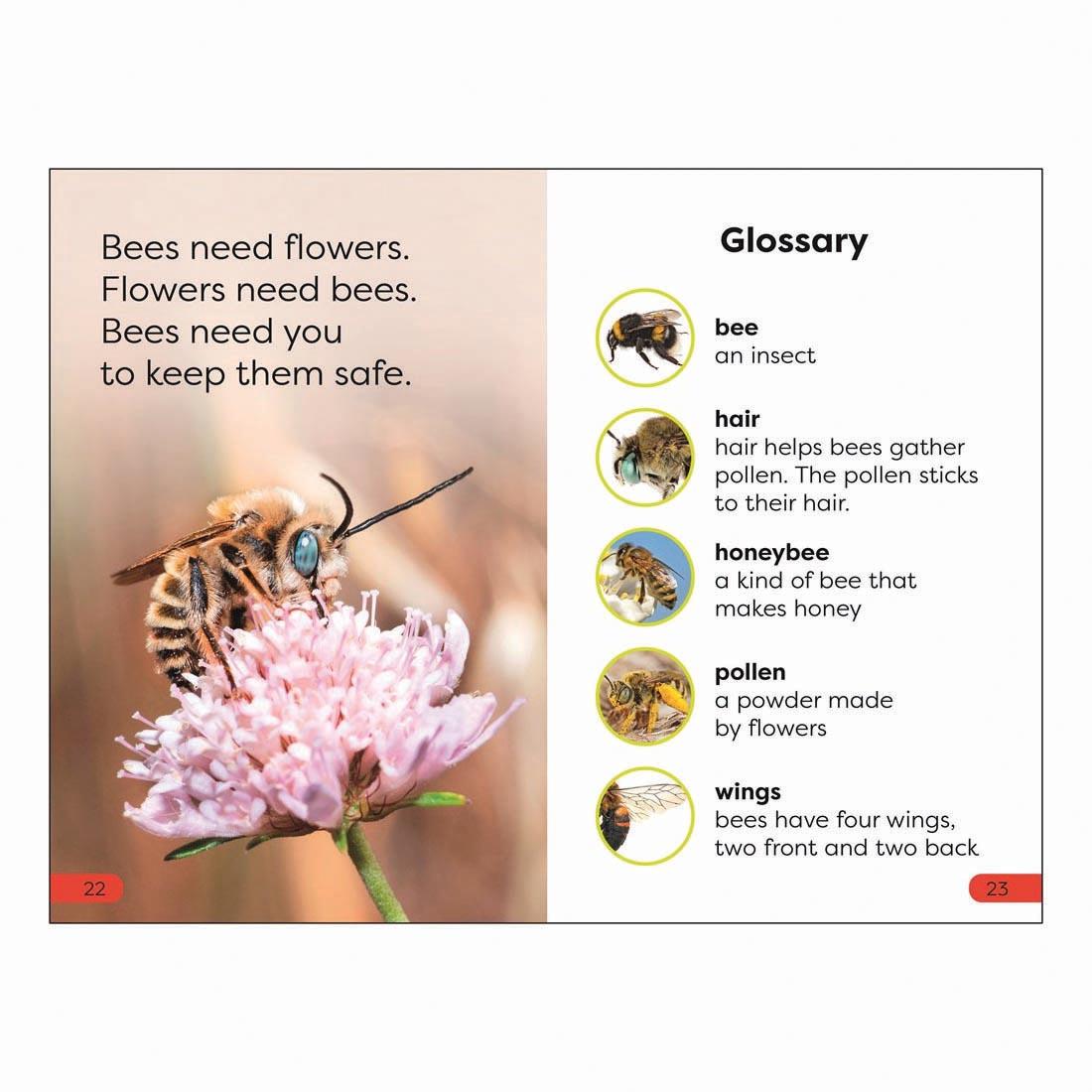 2 pages from Save The Bees DK Super Readers Pre-Level Book