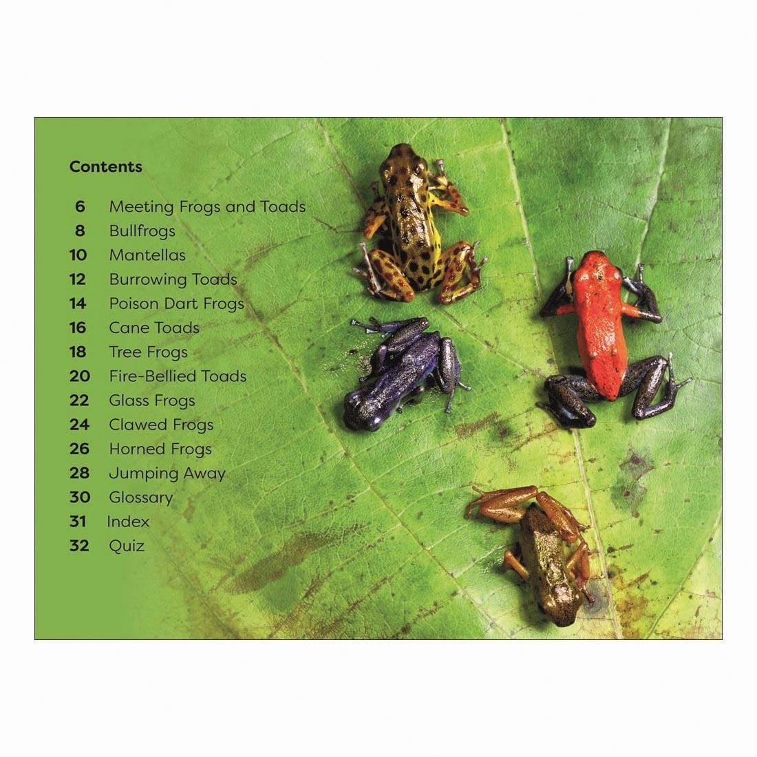 Table of Contents from Frogs And Toads DK Super Readers Level 1 Book