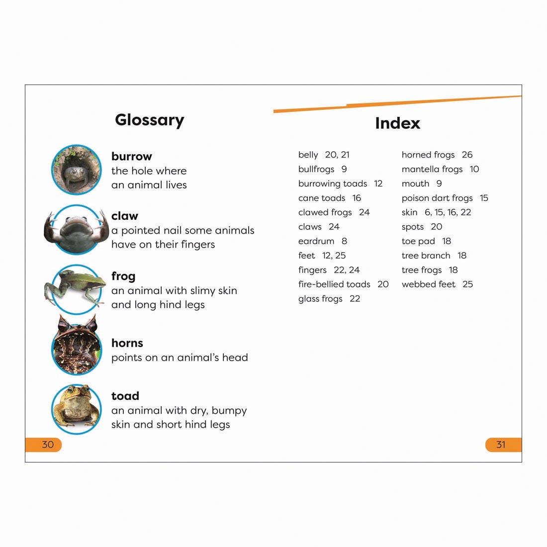 Glossary and Index pages from Frogs And Toads DK Super Readers Level 1 Book