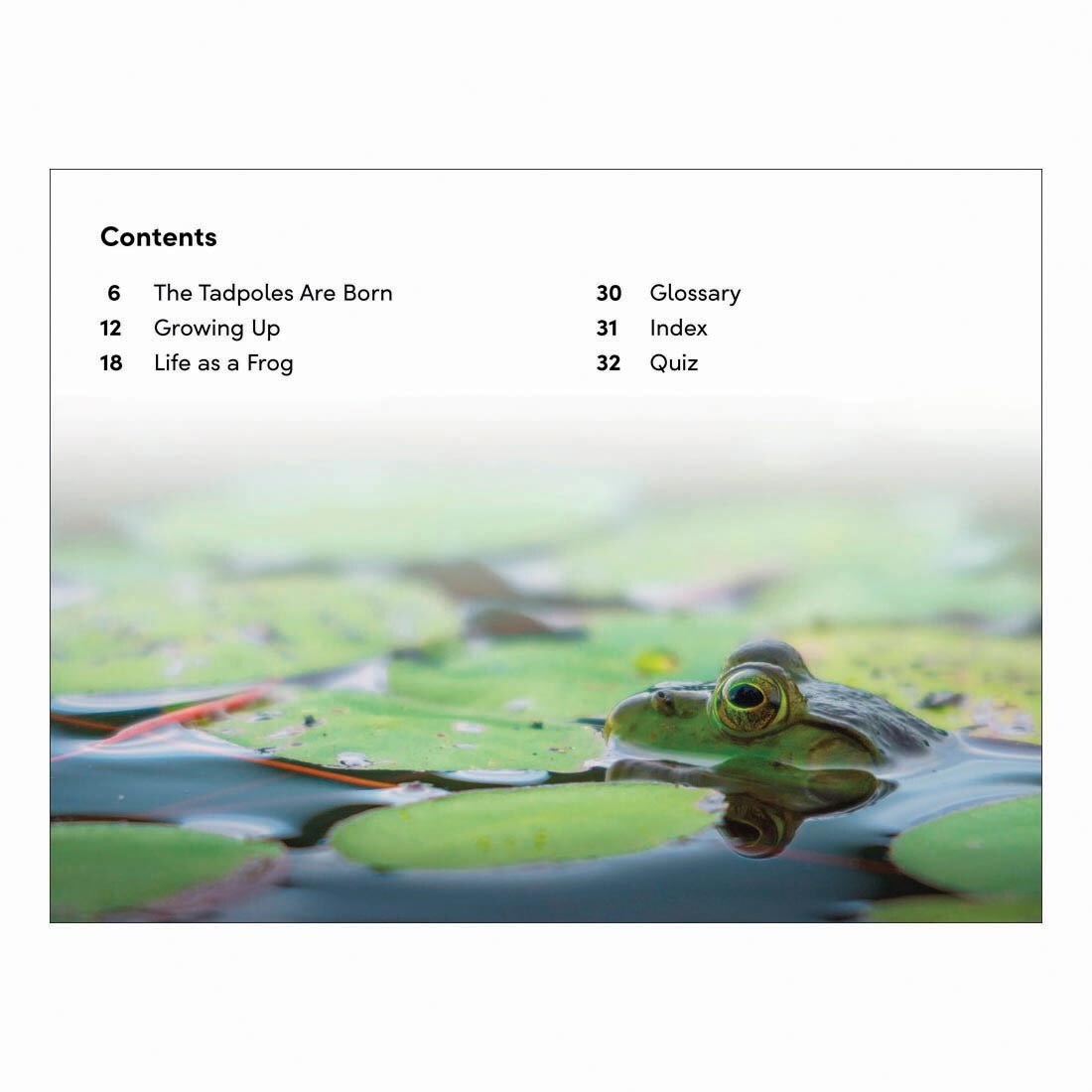 Table of Contents from Tale Of A Tadpole DK Super Readers Level 2 Book