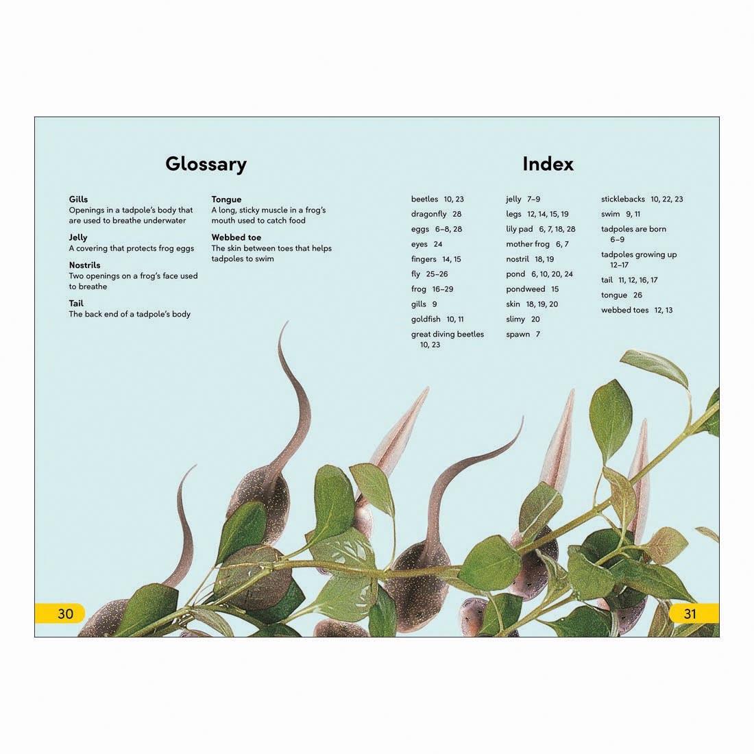 Glossary and Index pages from Tale Of A Tadpole DK Super Readers Level 2 Book