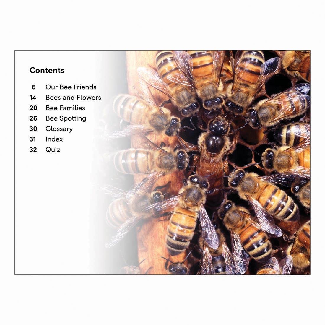 Table of Contents from Amazing Bees DK Super Readers Level 2 Book