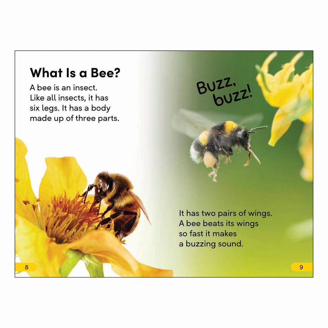 2 pages from Amazing Bees DK Super Readers Level 2 Book