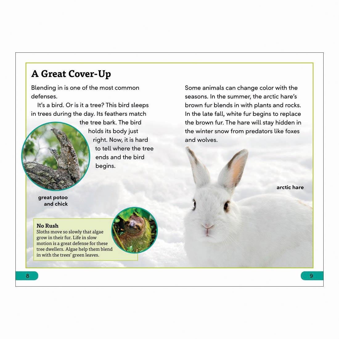 2 pages from Animal Defenses DK Super Readers Level 3 Book