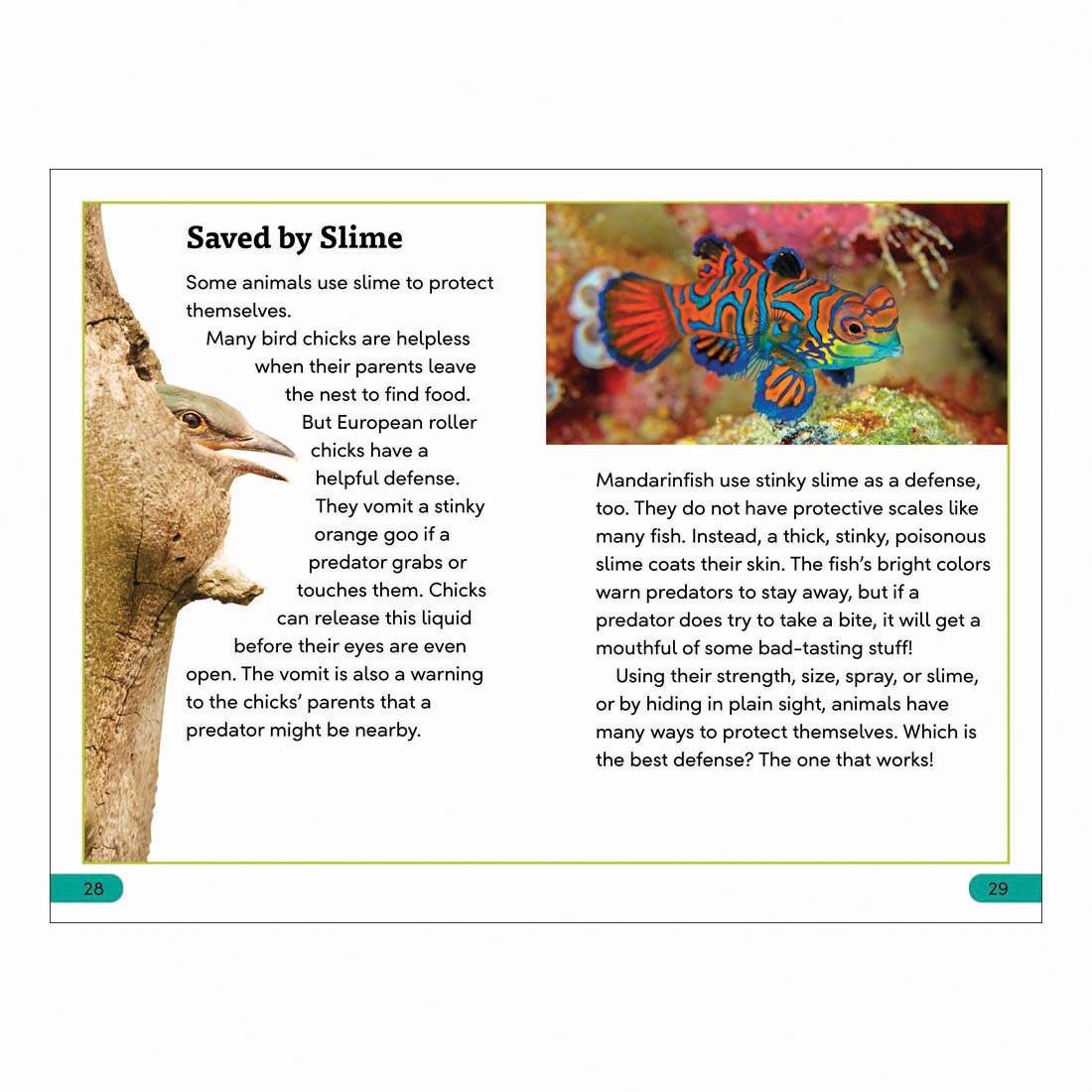 2 pages from Animal Defenses DK Super Readers Level 3 Book