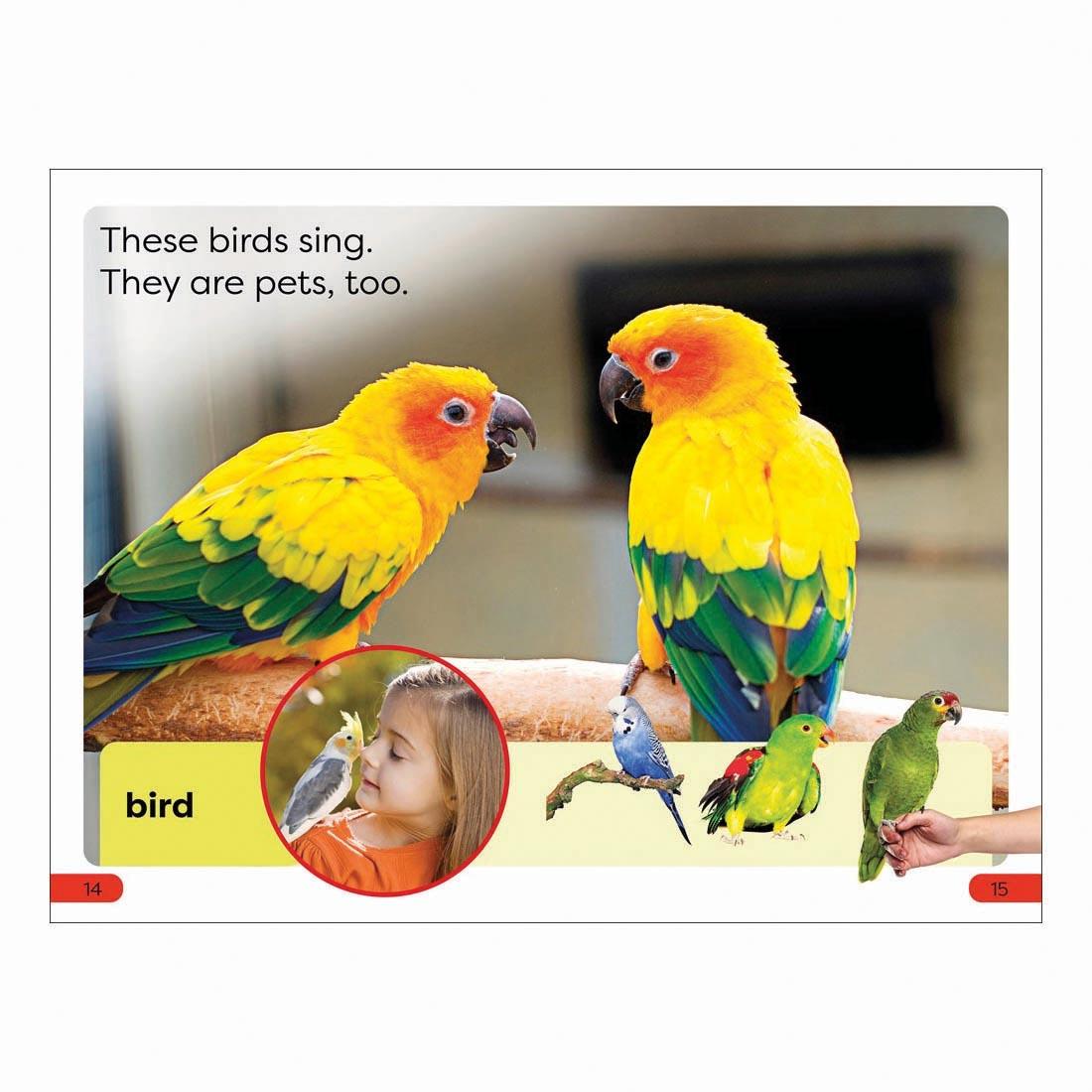 2 pages from Pets DK Super Readers Pre-Level Book