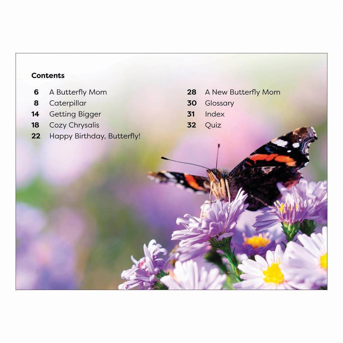 Table of Contents from Becoming a Butterfly DK Super Readers Level 1 Book
