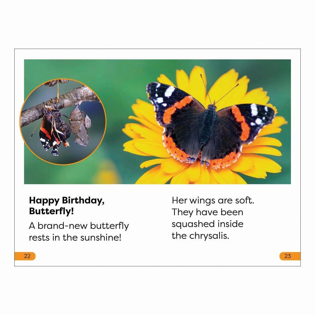 2 pages from Becoming a Butterfly DK Super Readers Level 1 Book