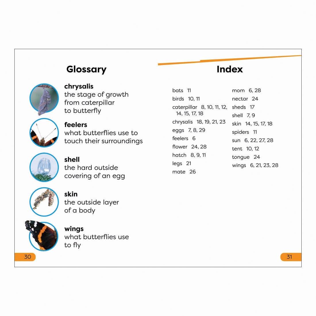 Glossary and Index pages from Becoming a Butterfly DK Super Readers Level 1 Book