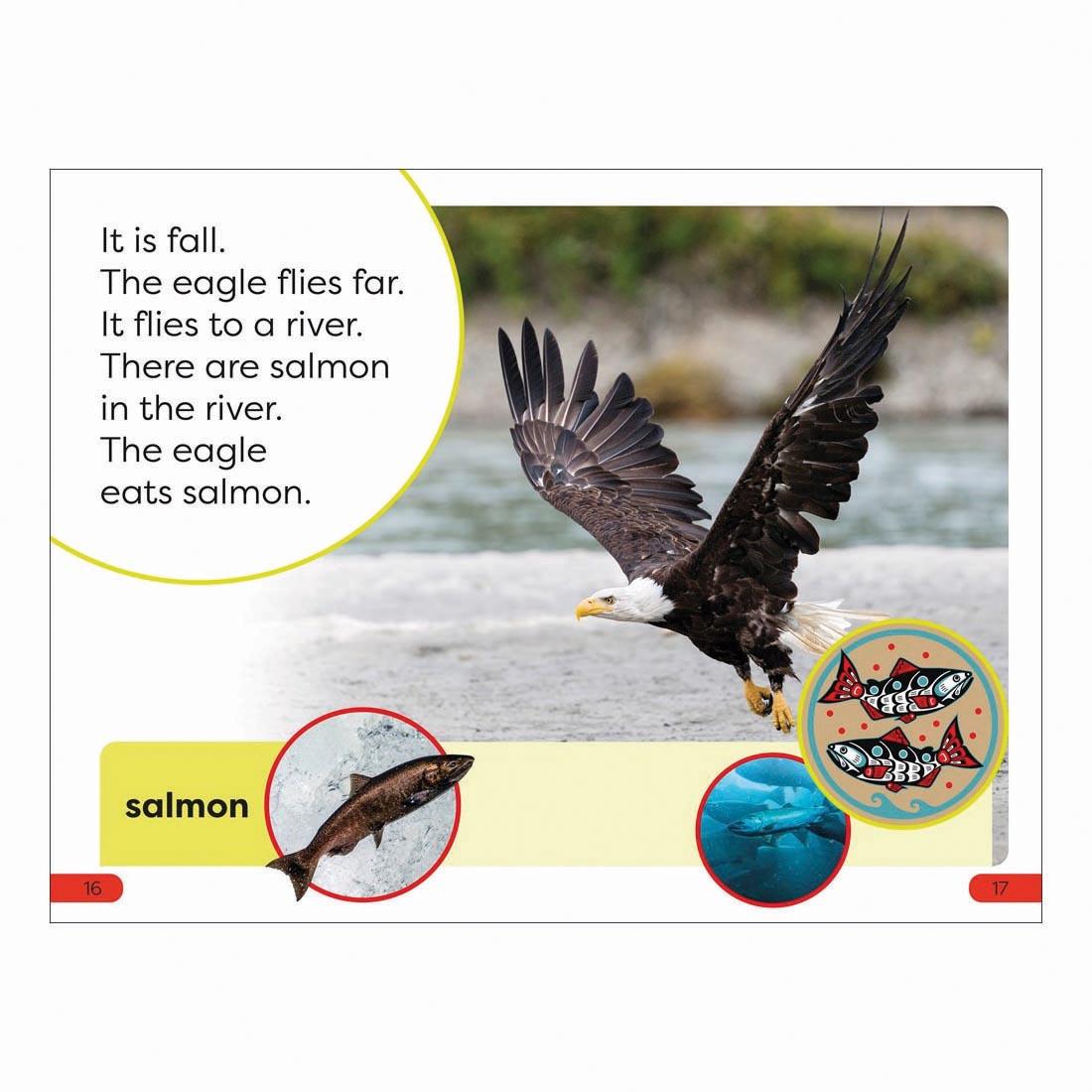 2 pages from An Eagle's Tale DK Super Readers Pre-Level Book