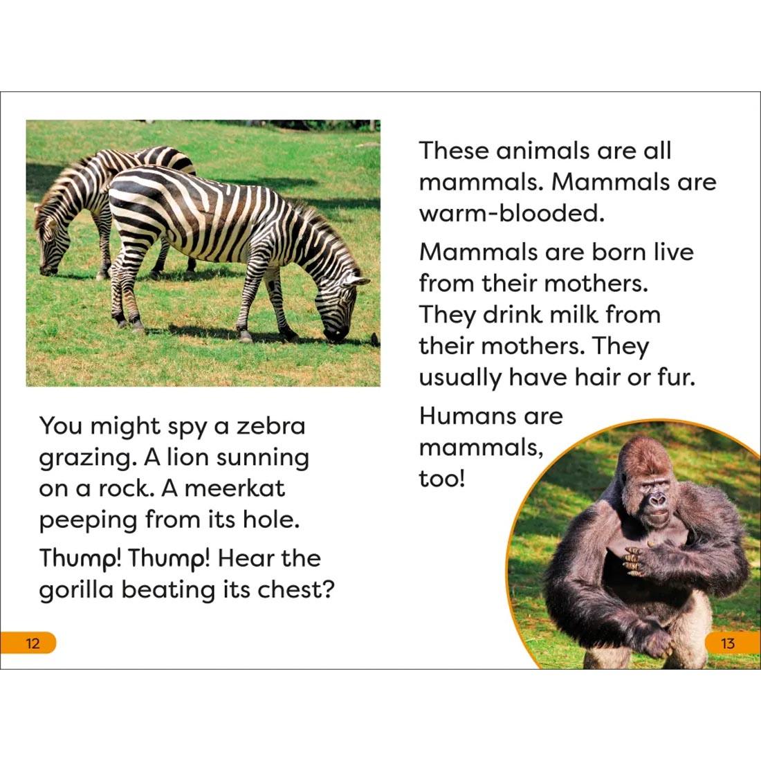 pages 12 and 13 from DK Super Readers Level 1: A Trip to the Zoo