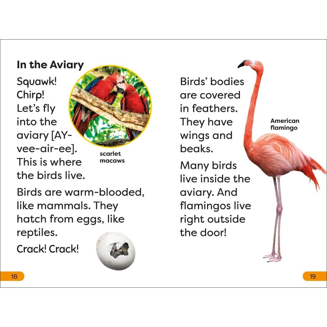 pages 18 and 19 from DK Super Readers Level 1: A Trip to the Zoo