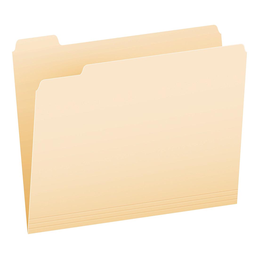 1/5 Cut Manila File Folder
