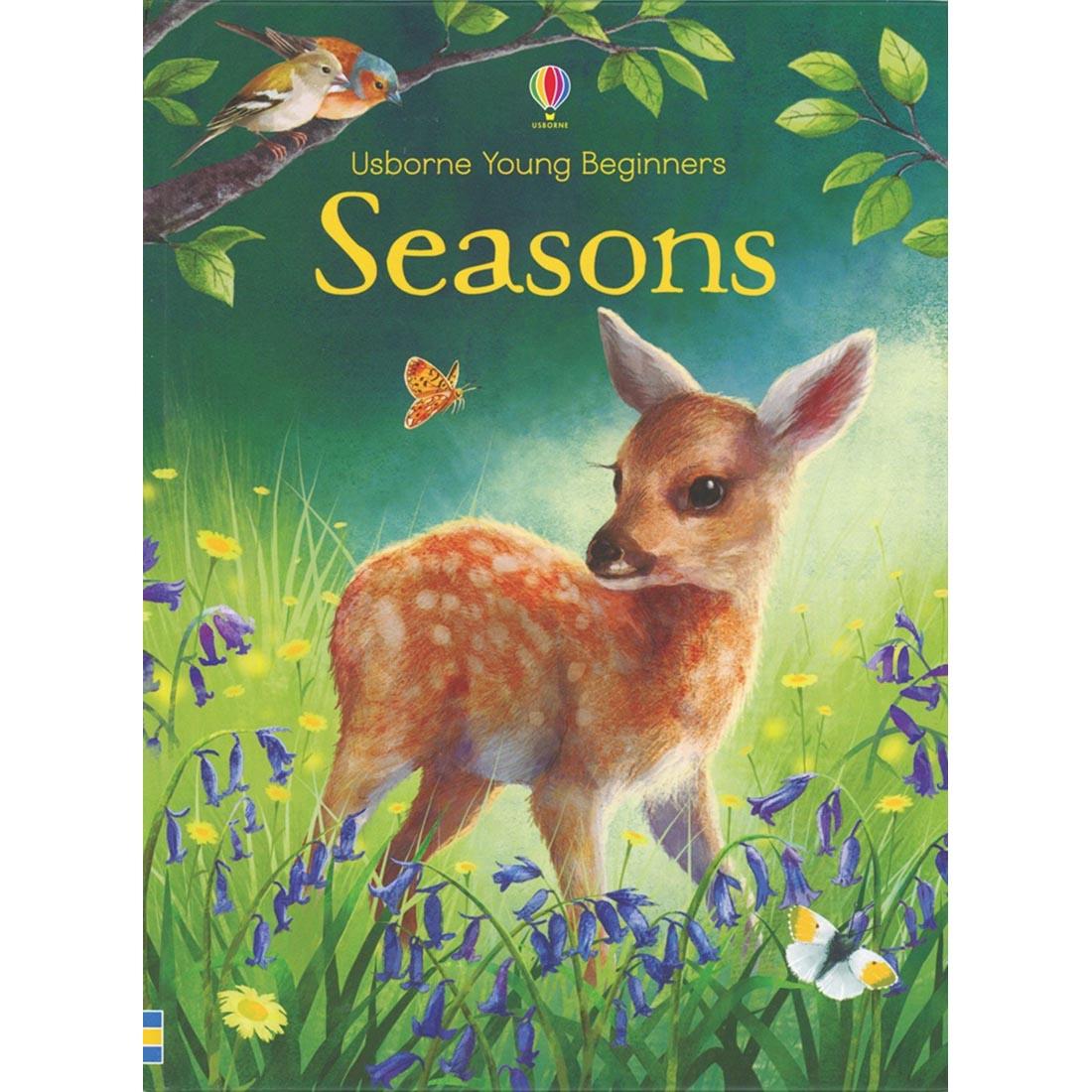 Usborne Young Beginners Reader: Seasons