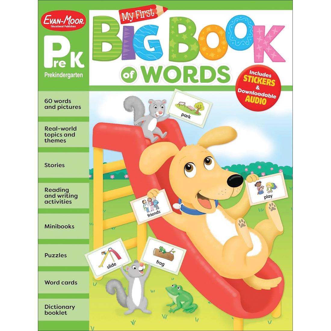 My First Big Book of Words Activity Book Pre-K