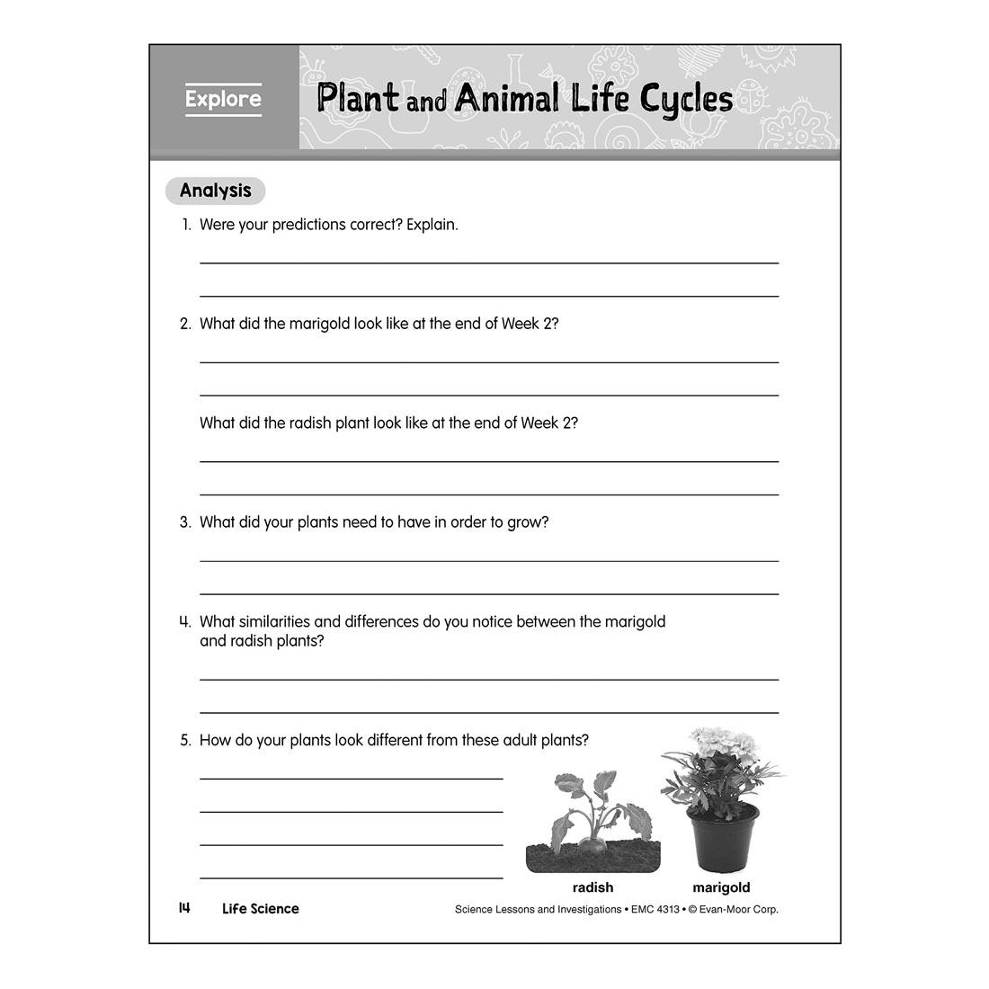 Plant and Animal Life Cycles page from Evan-Moor Science Lessons & Investigations Grade 3