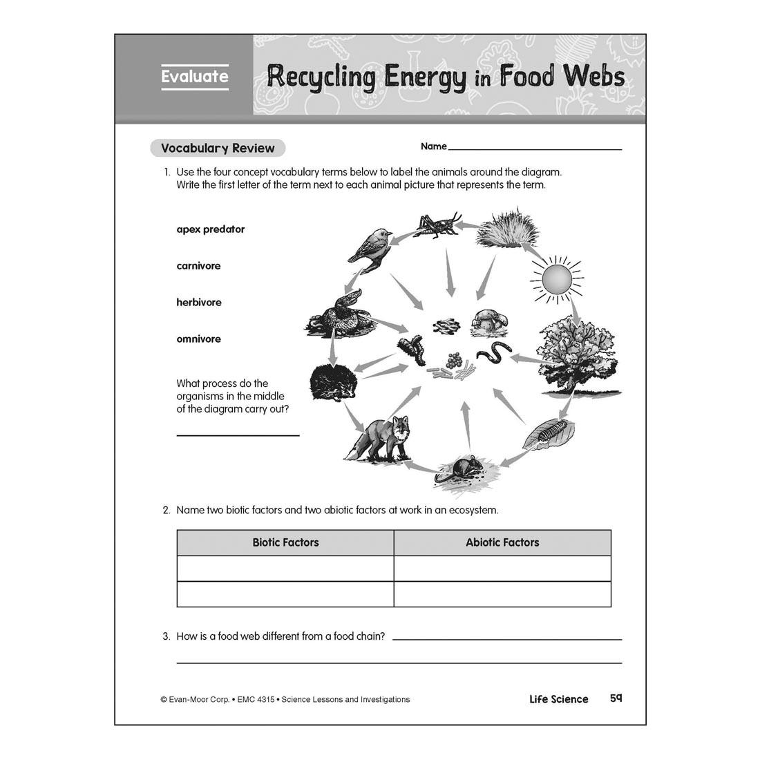 Recycling Energy in Food Webs page from Evan-Moor Science Lessons & Investigations Grade 5