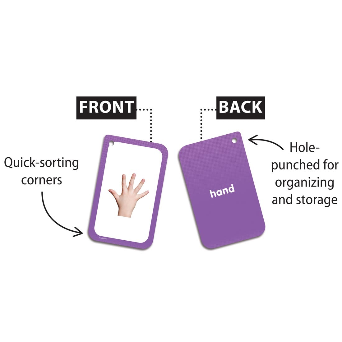 front and back sides of a card from Go Together Flash Cards labeled with features