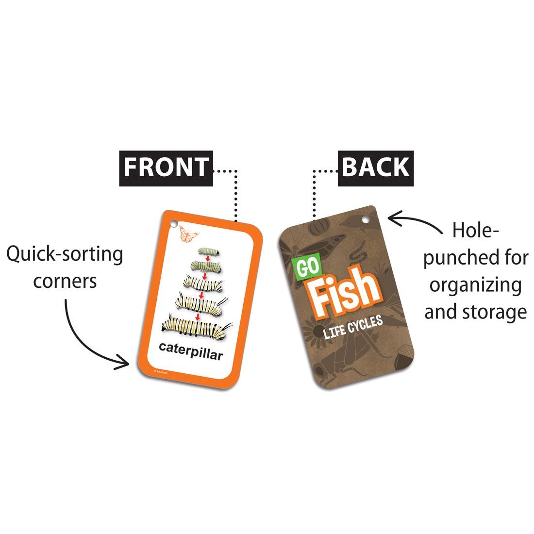 2 Go Fish Life Cycles Flash Cards with text: Front/Back; Quick-sorting corners; Hole-punched for organizing and storage