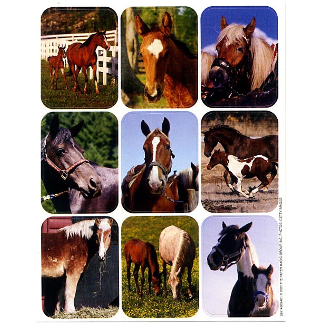 Horses Giant Stickers by Eureka