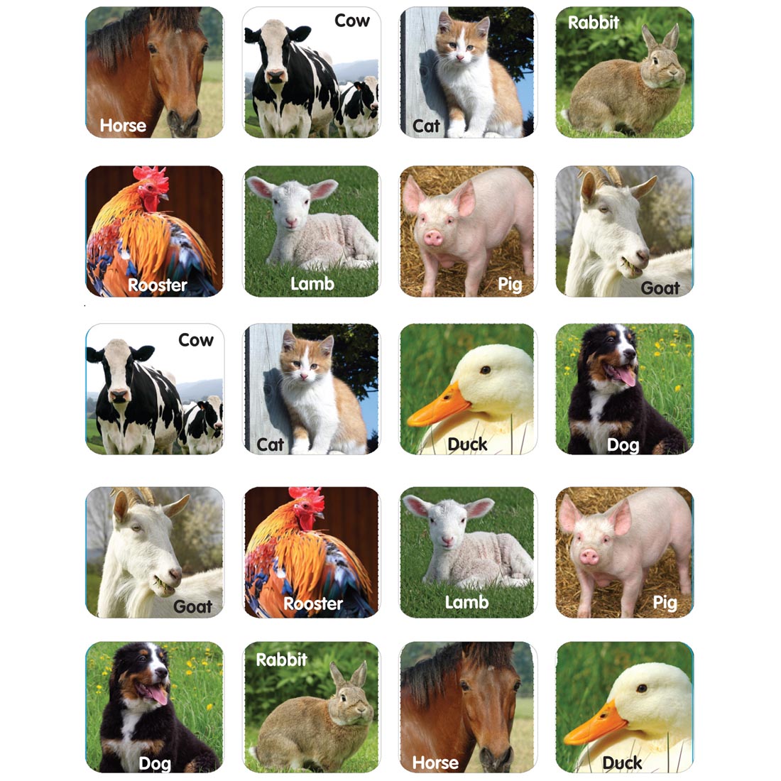 Farm Animals Theme Stickers by Eureka have the animals labeled: Horse, Cow, Cat, Rabbit, etc.