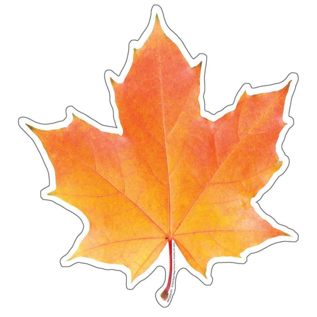 Maple Leaf Paper Cut-Out By Eureka