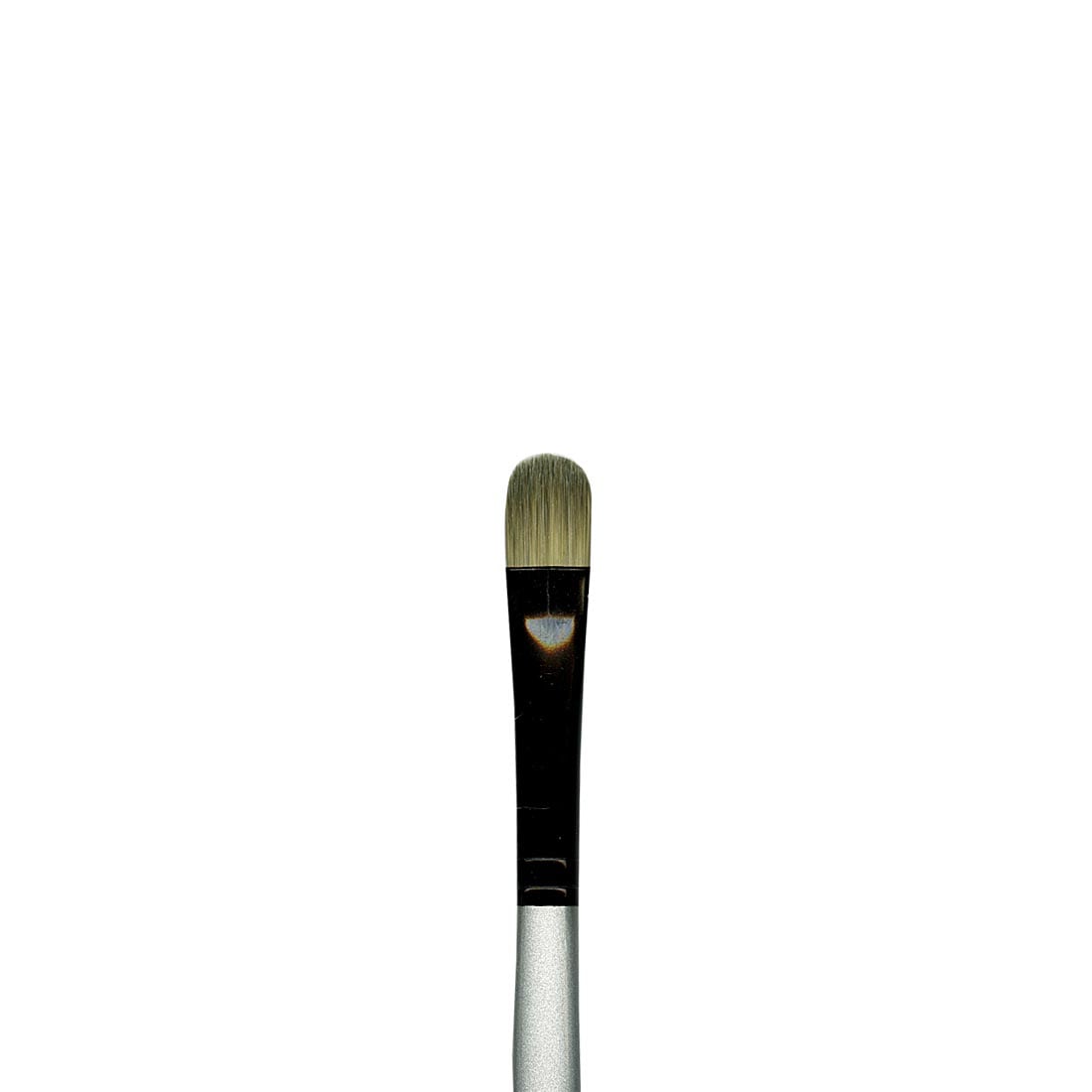 Dynasty Black Silver Brush Oval Filbert Size 10