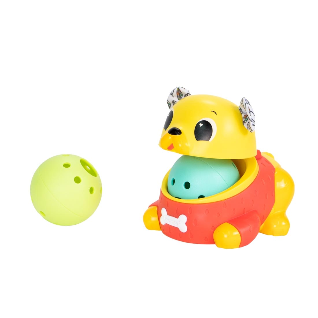 Crawl & Chase Pug Popper By Lamaze with one ball in mouth and one beside it