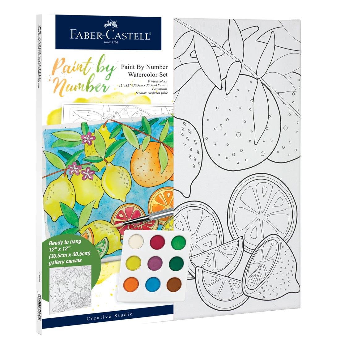 Produce Paint By Number Watercolor Set by Faber-Castell in package