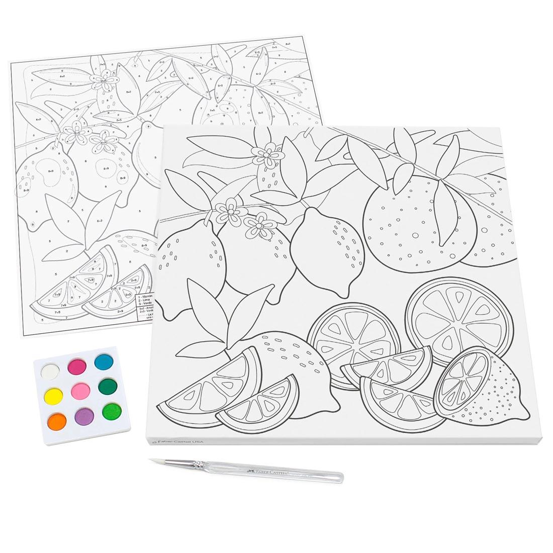 Produce Paint By Number Watercolor Set by Faber-Castell