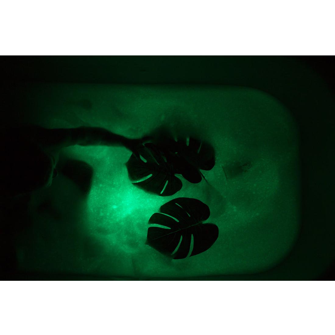 view of a bathtub from the top; water is green due to Pippa Green Glo Pals Water-Activated Light Up Cubes
