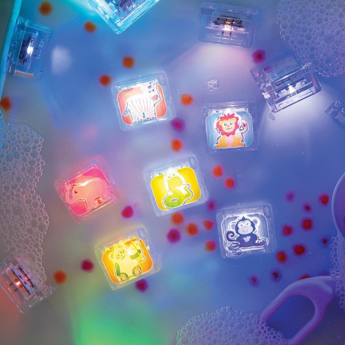 set of Zoo Glo Pals Water-Activated Light Up Cubes in water
