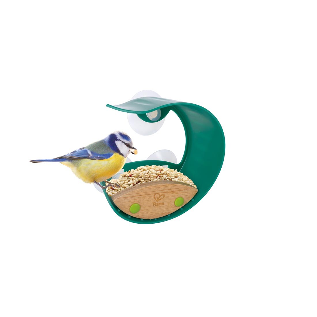 bird eating from the Hape Window Bird Feeder