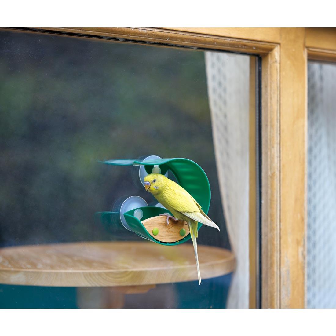 Hape Window Bird Feeder attached to a window with a bird perched on it