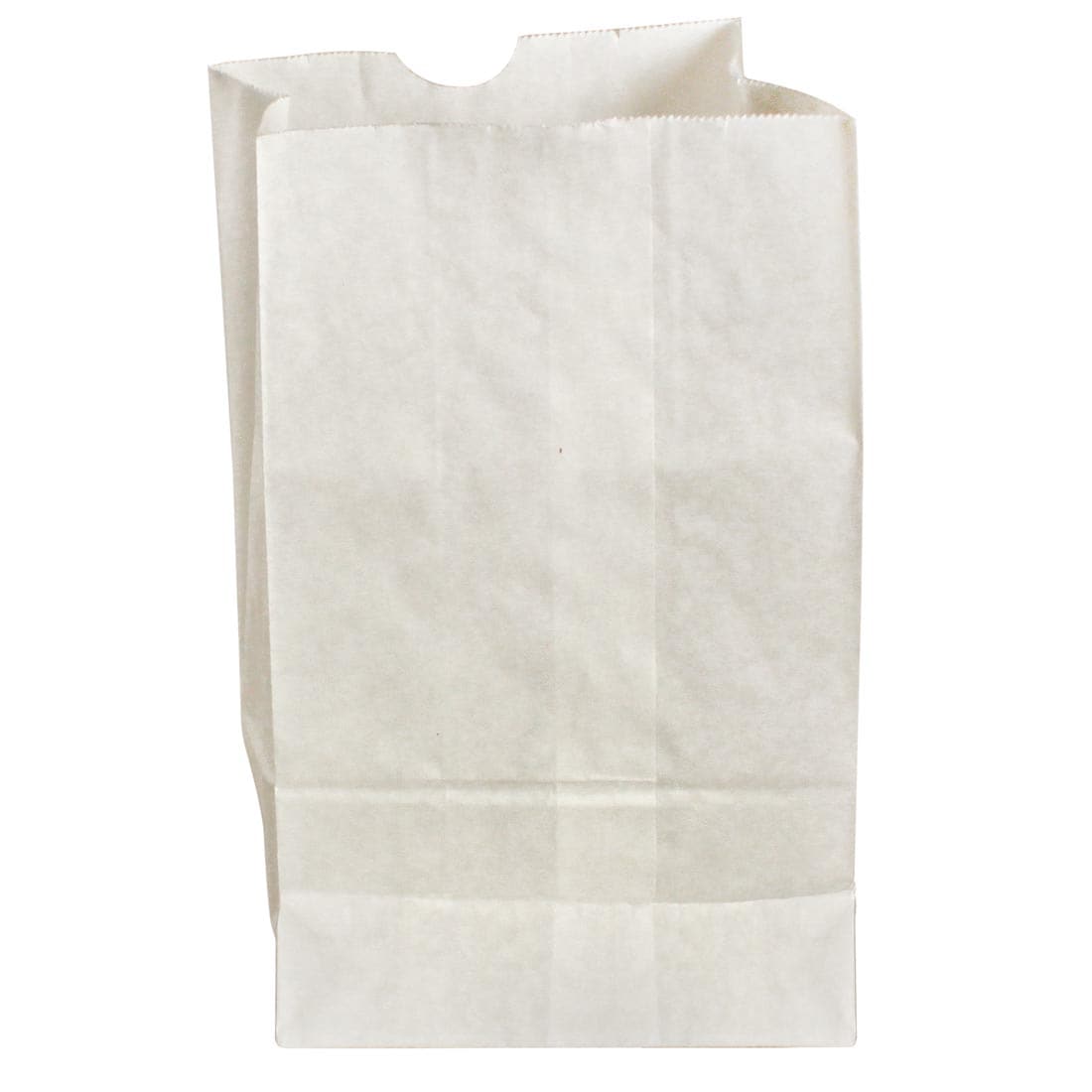 White Paper Bag