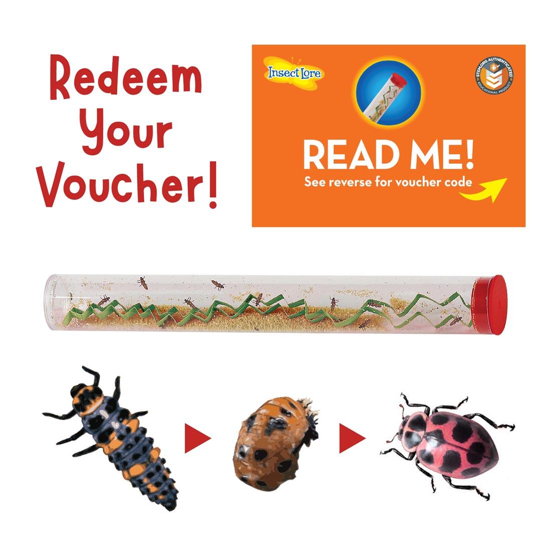 Ladybug Land Live Habitat Voucher sample, with pictures showing progression of ladybug development, vial of ladybug grubs, and the words: Redeem Your Voucher!